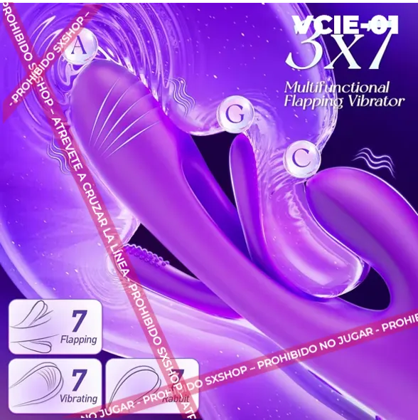 VCIE-01.7.webp
