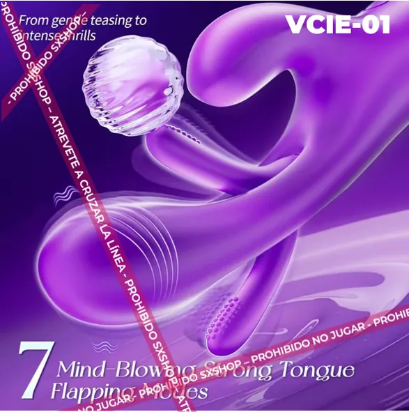 VCIE-01.6.webp