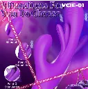 VCIE-01.8.webp