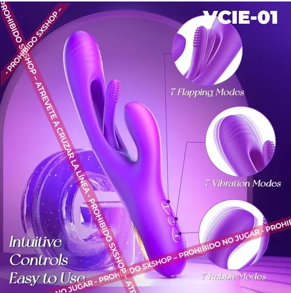 VCIE-01.3.webp
