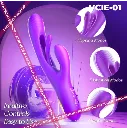 VCIE-01.3.webp