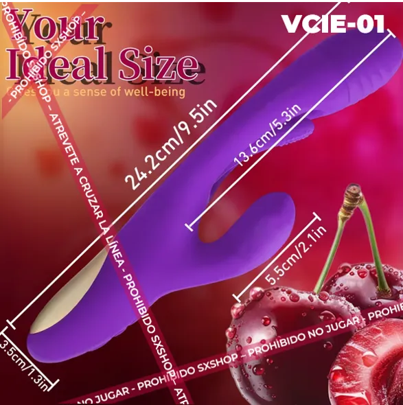 VCIE-01.4.webp