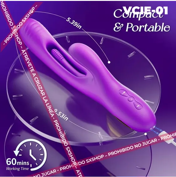 VCIE-01.5.webp
