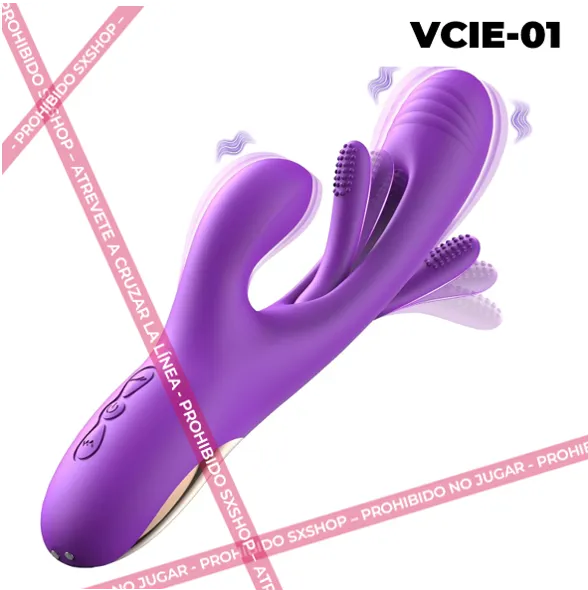 VCIE-01.1.webp