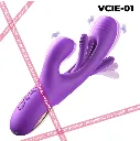 VCIE-01.1.webp