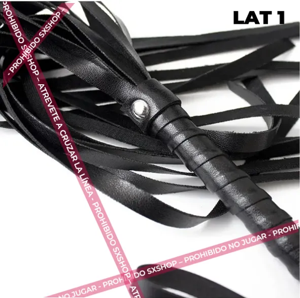 Lat 1.2.webp