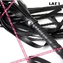 Lat 1.2.webp