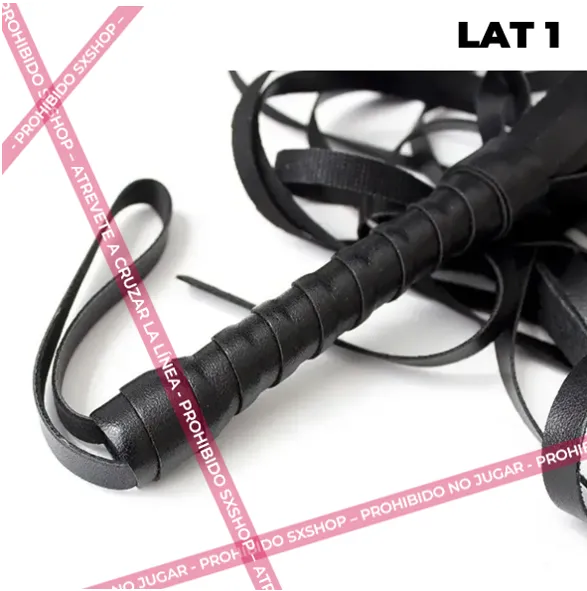 Lat 1.4.webp