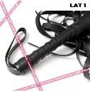 Lat 1.4.webp