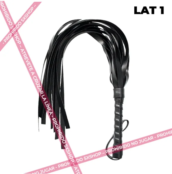 Lat 1.1.webp