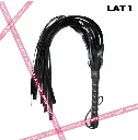 Lat 1.1.webp
