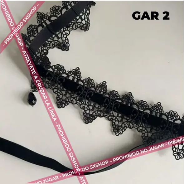 Gar 2.4.webp