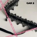 Gar 2.4.webp