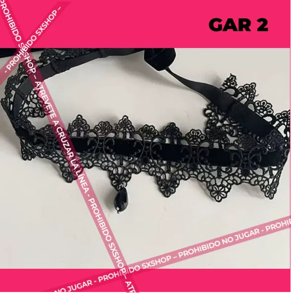 Gar 2.3.webp