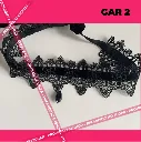 Gar 2.3.webp