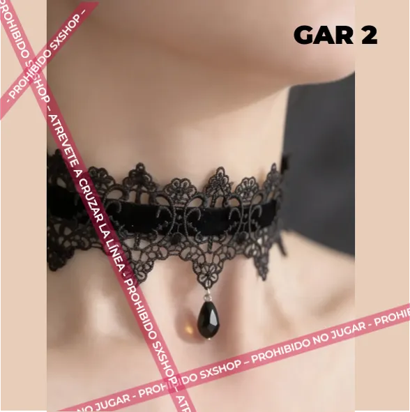 Gar 2.6.webp