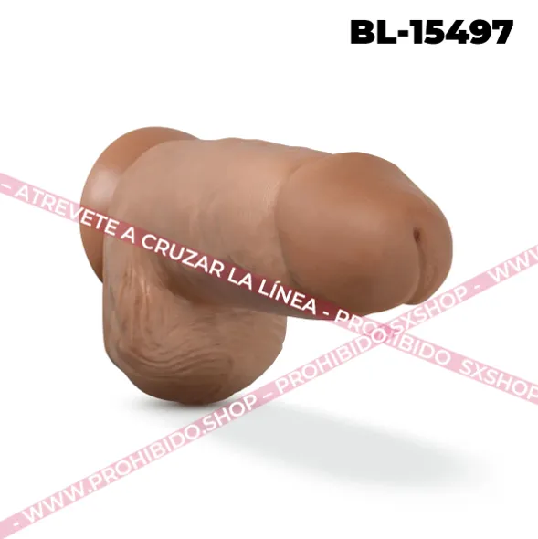 BL-15497.7.webp