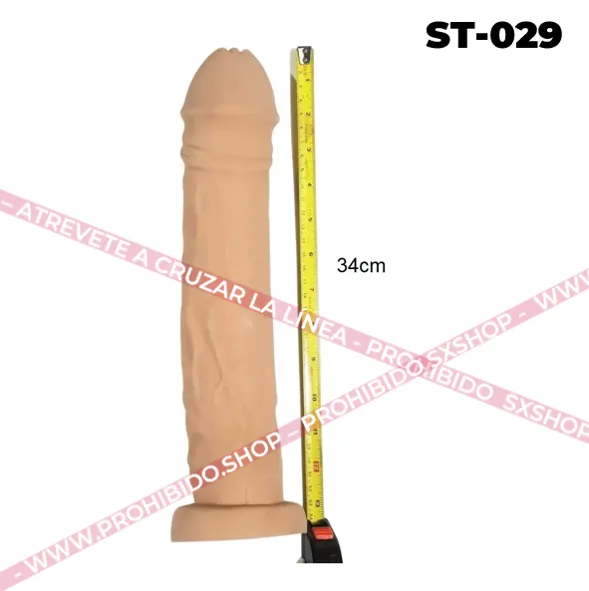 ST-029.1.webp