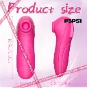 PSPS1.2.webp