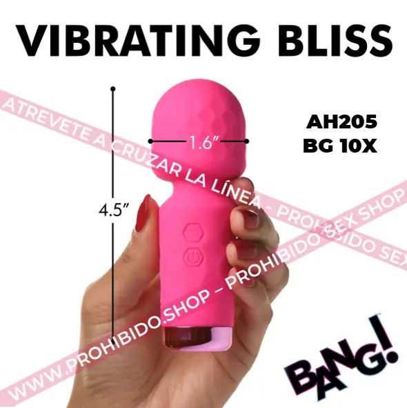 AH205 BG 10X.11.webp