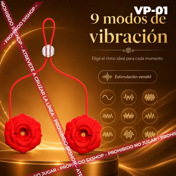 VP-01.3.webp