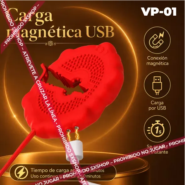 VP-01.5.webp