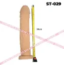 ST-029